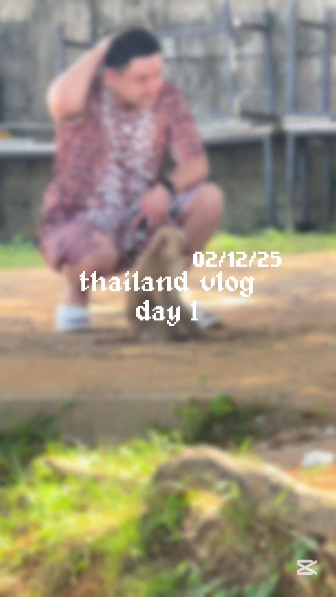 @currentlystruglyn ʚɞ
