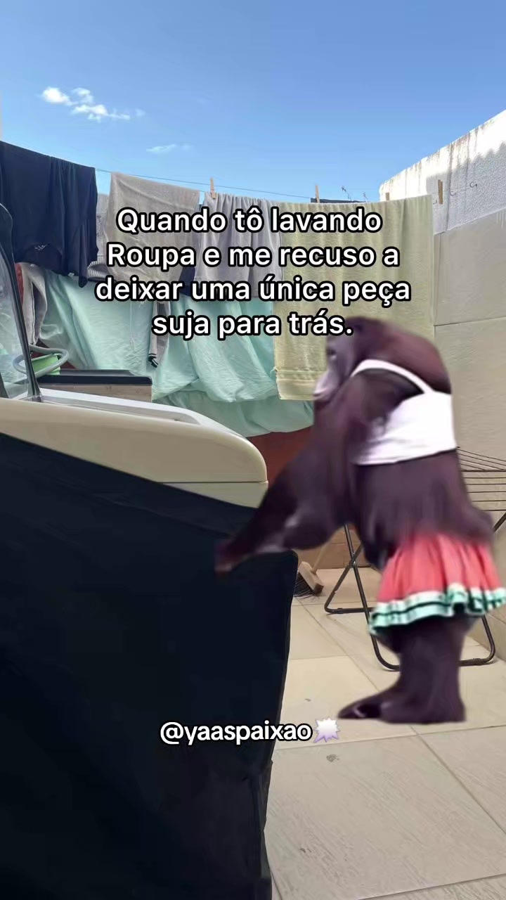 @Yasmin Paix&atilde;o ✨
