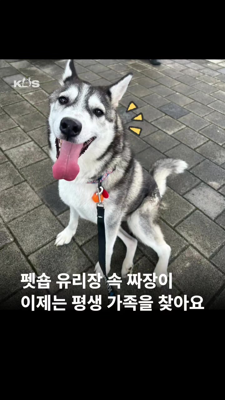 @🐶🐶엄지맘🐕&zwj;🦺🦮🐩