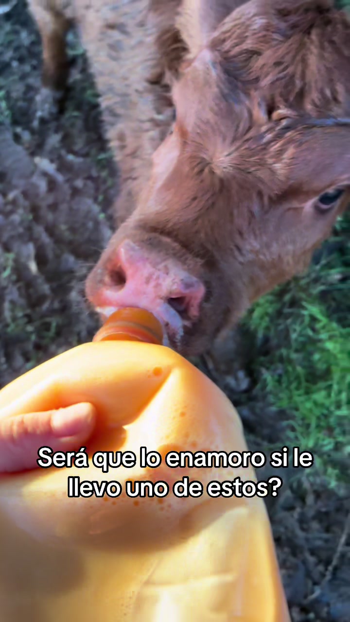 @Martii Brun