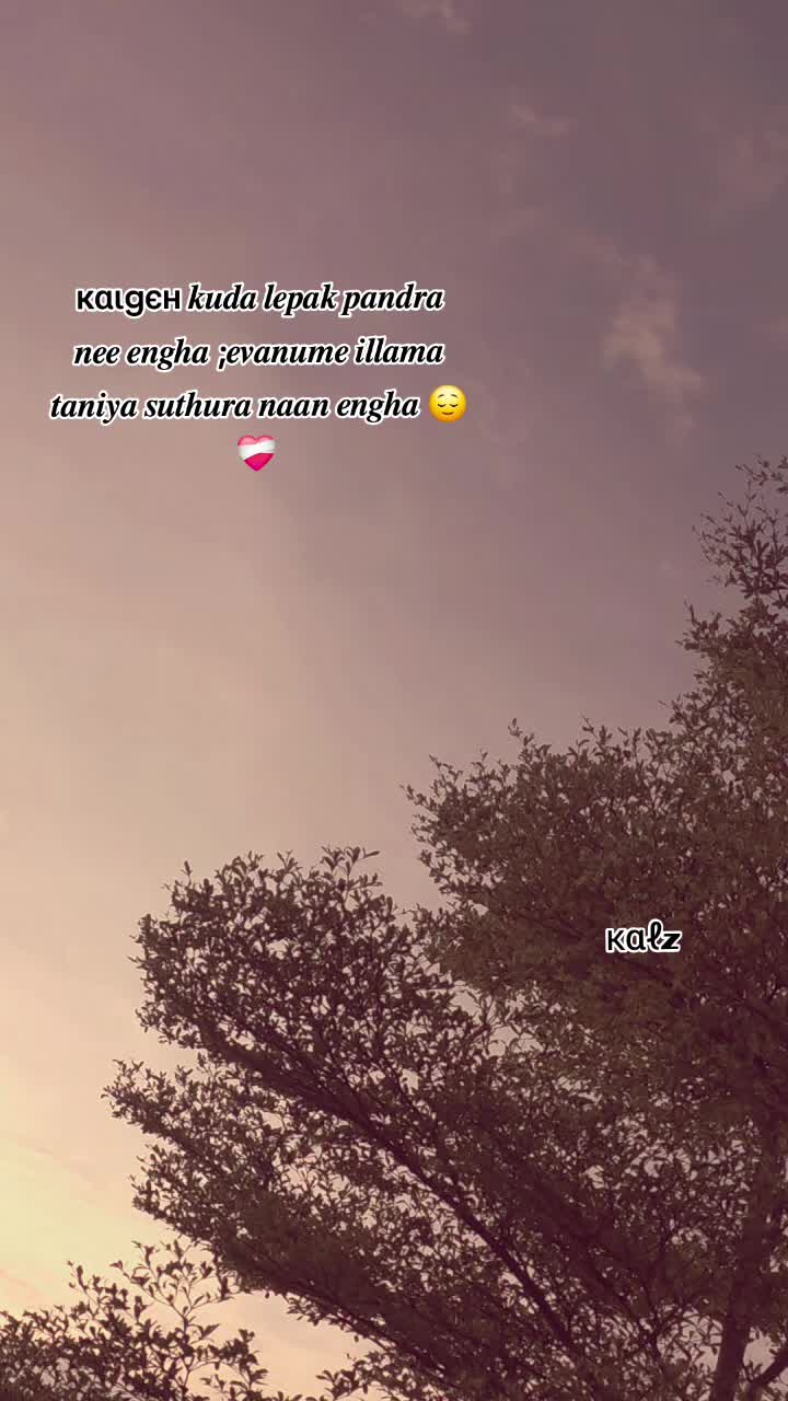 @Pɾιʋʋ Kαʅȥ🎀🤍