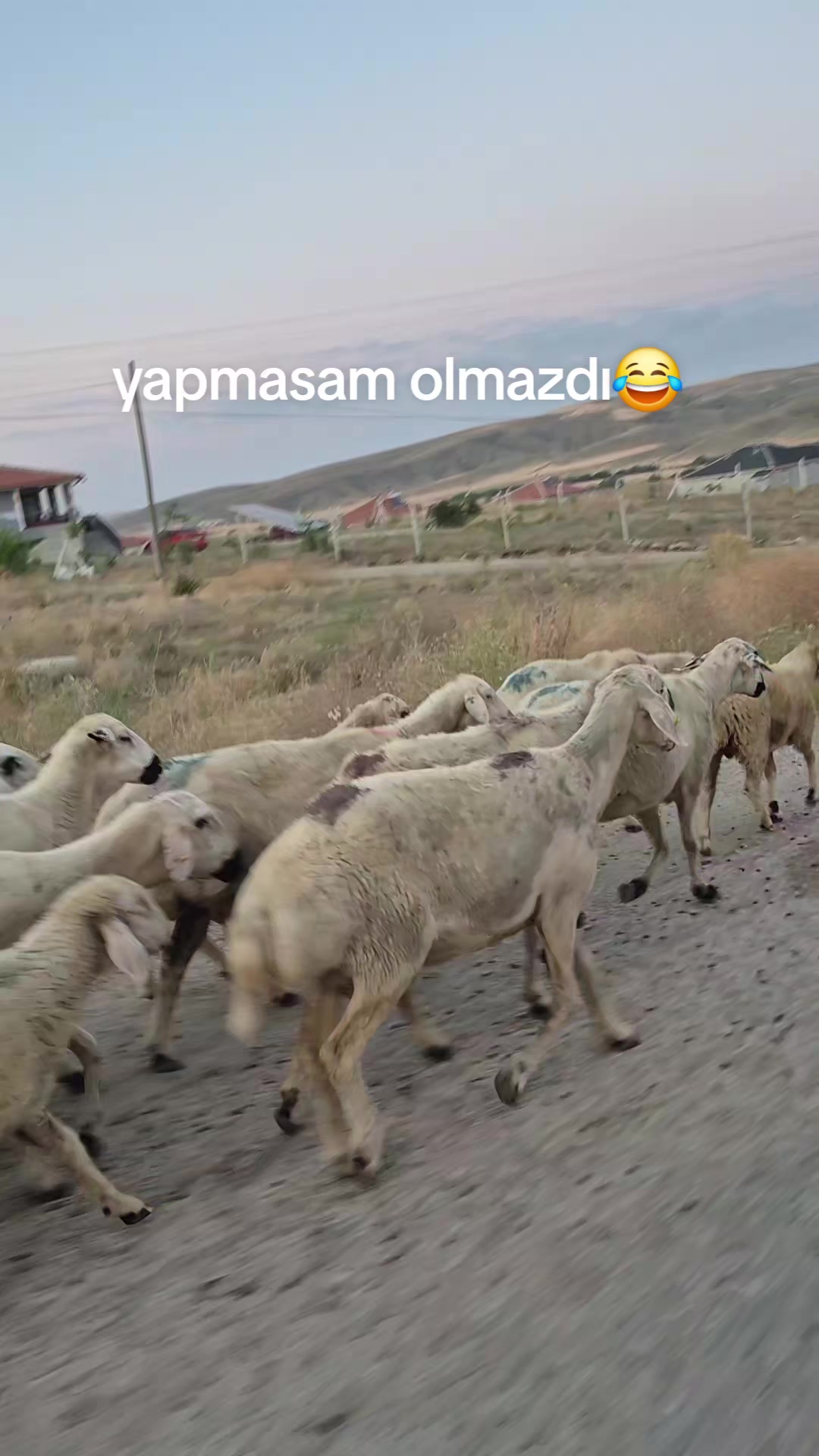 @kaderfatmabalofficial🇹🇷🇦🇿