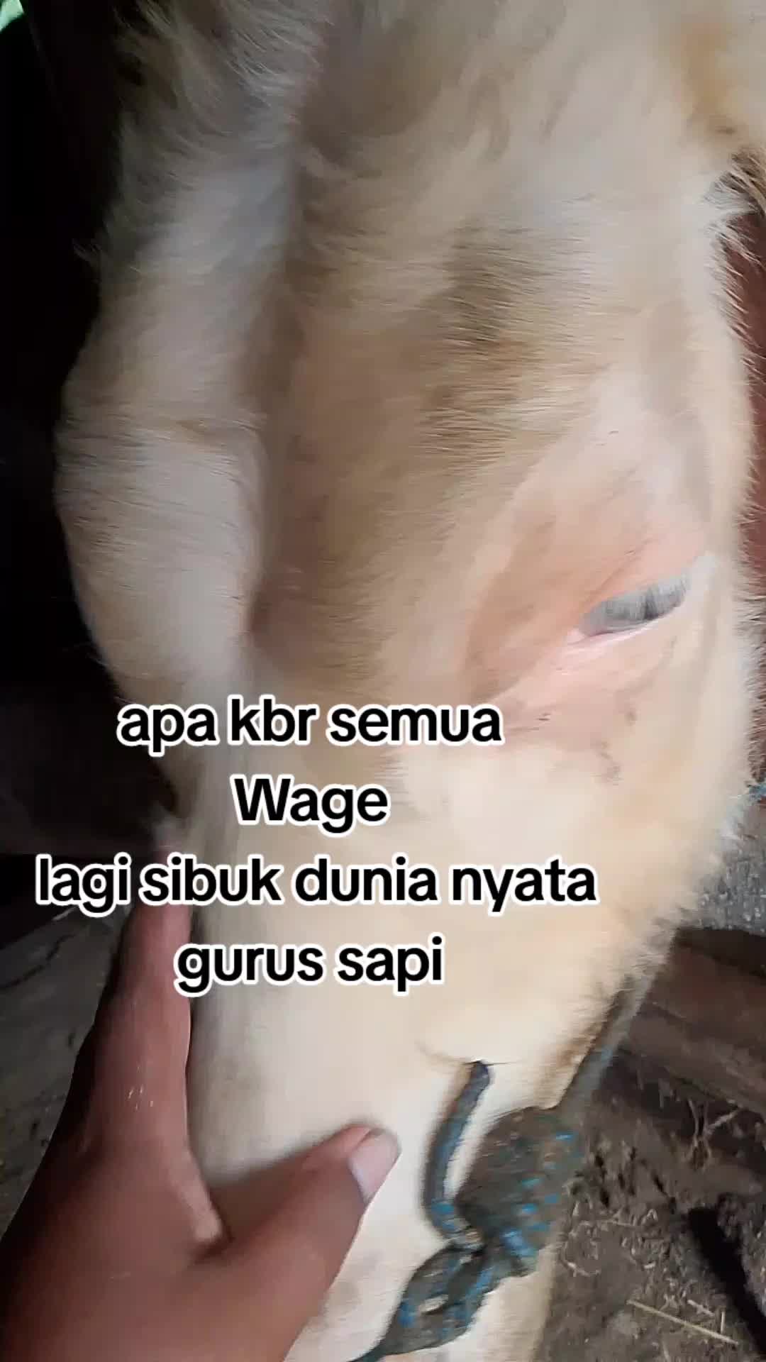 @bunda shakila_ Fathan
