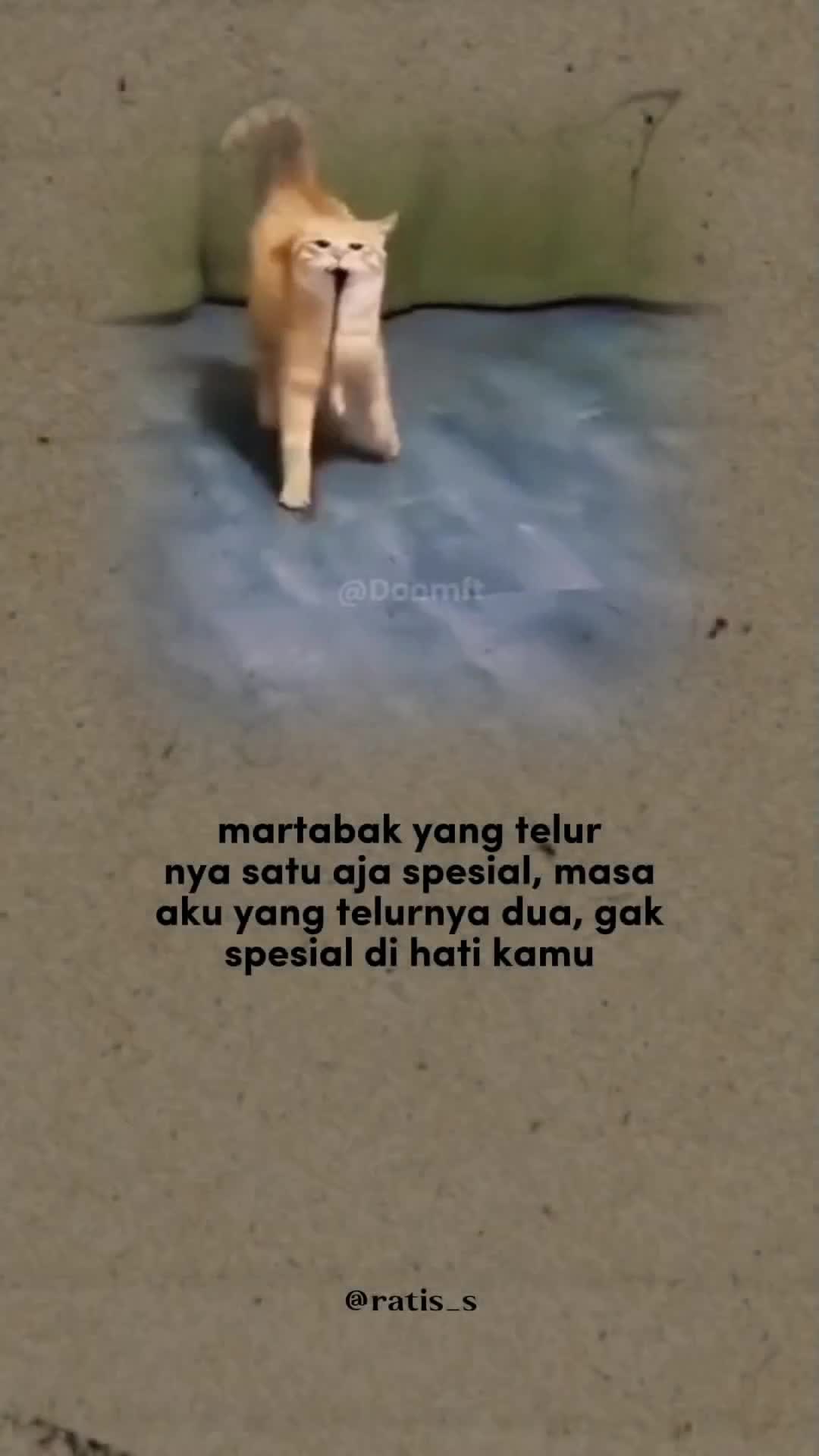 @ratsss