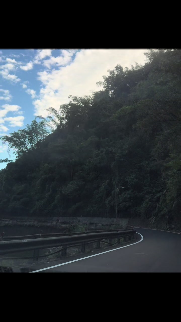 @沈文心