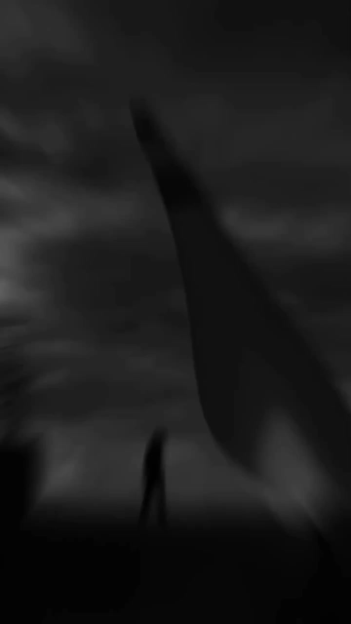 @ᥫSagittarius➴᭓
