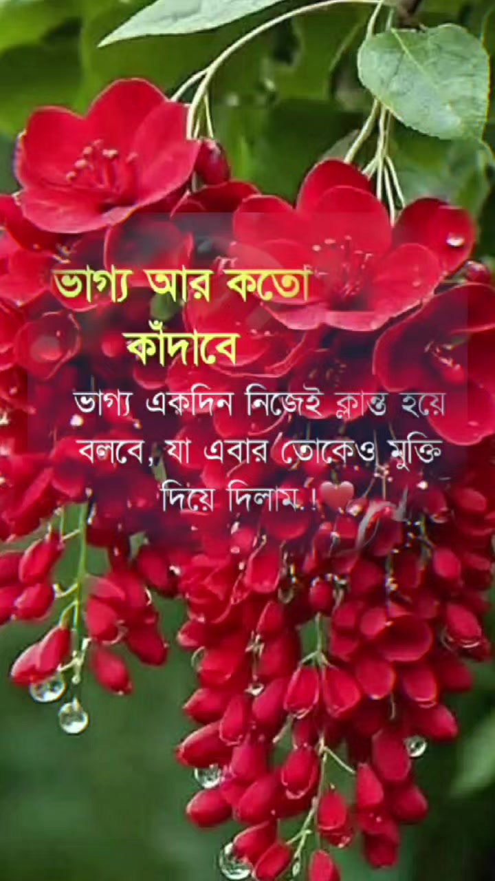 @user8123701182915. jan pakhi