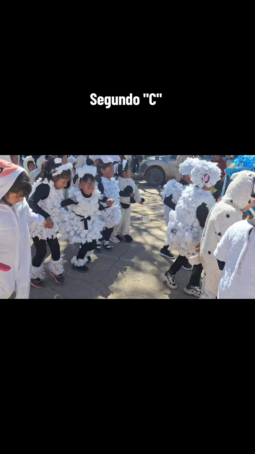 @magdit@