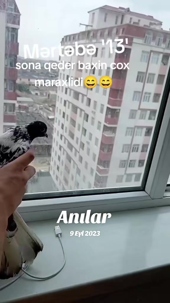 @Resul_osanli020