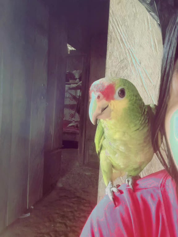 @Tu Nená 💫💗
