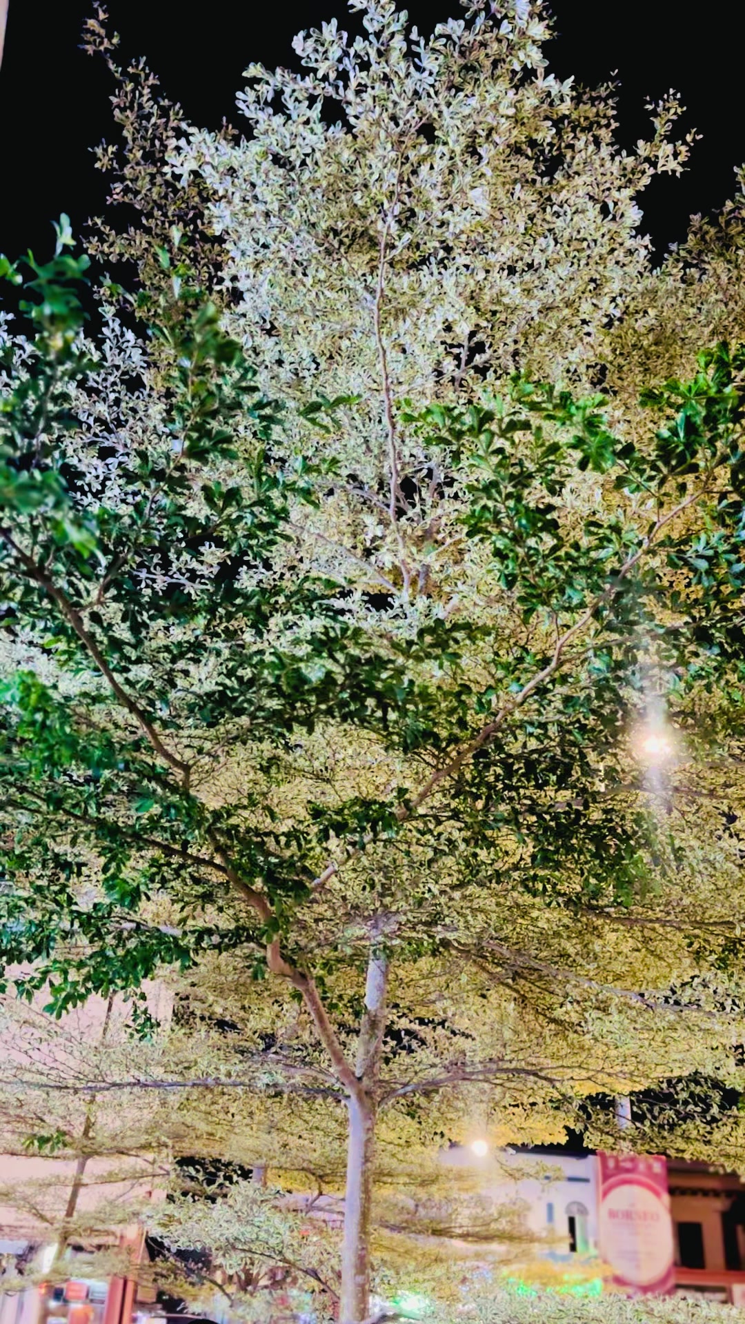 @𝓐𝓻𝓲𝓵🩸