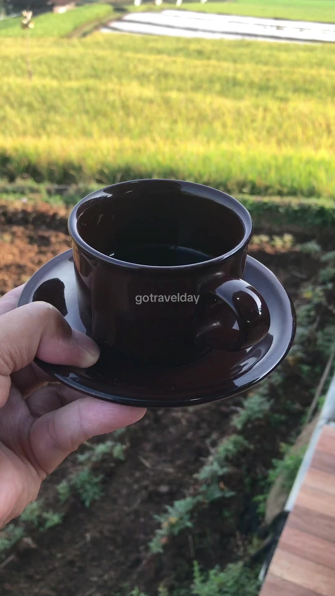 @Gotravelday