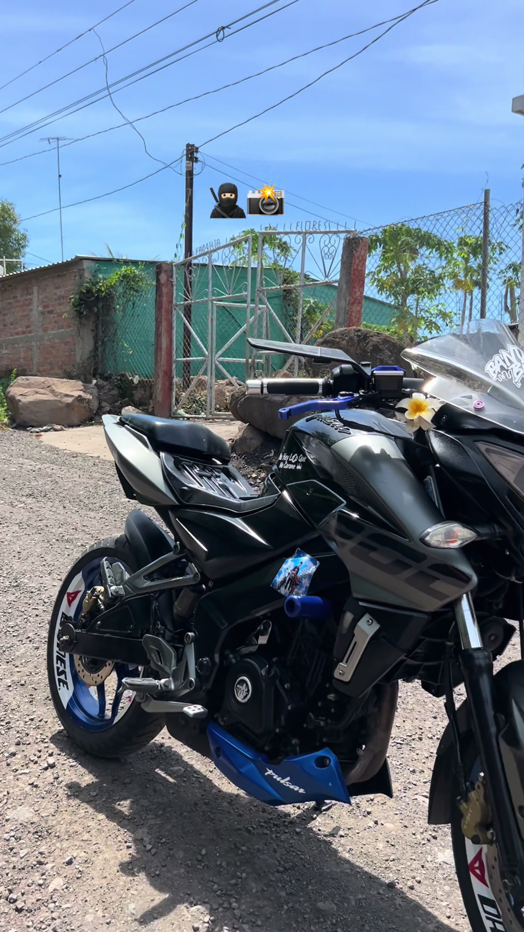 @el pana 🦥