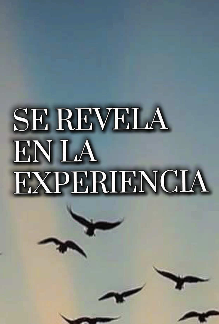 @la.piedra.de.los.sabios