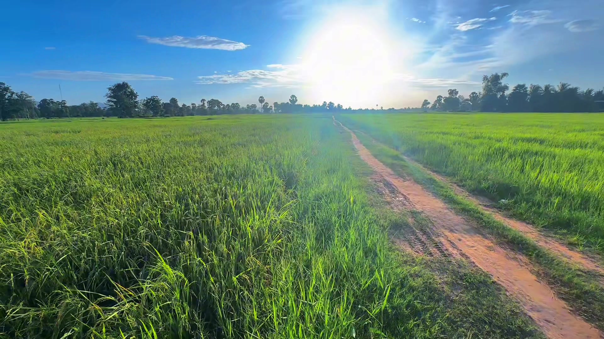 @សឿន វណ្ណា - सोएन् वण्णा 🌾💚🌅