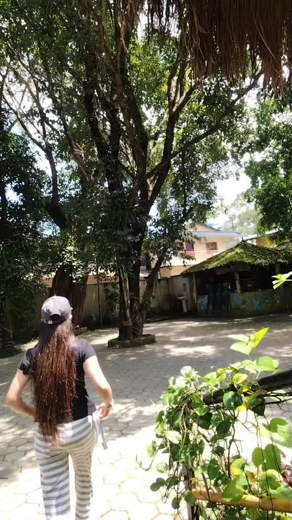 @sanjilamizar15