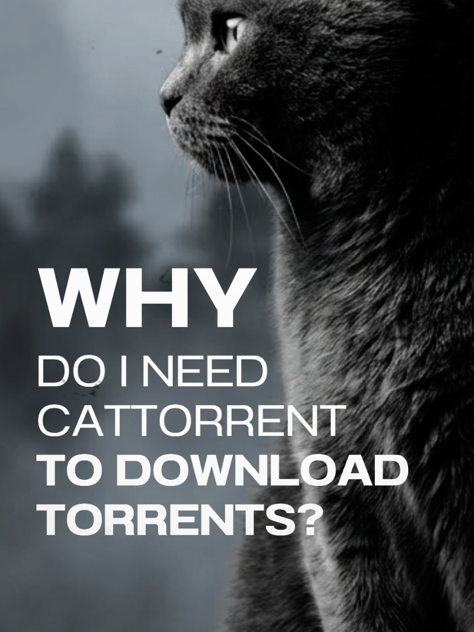 @CatTorrent