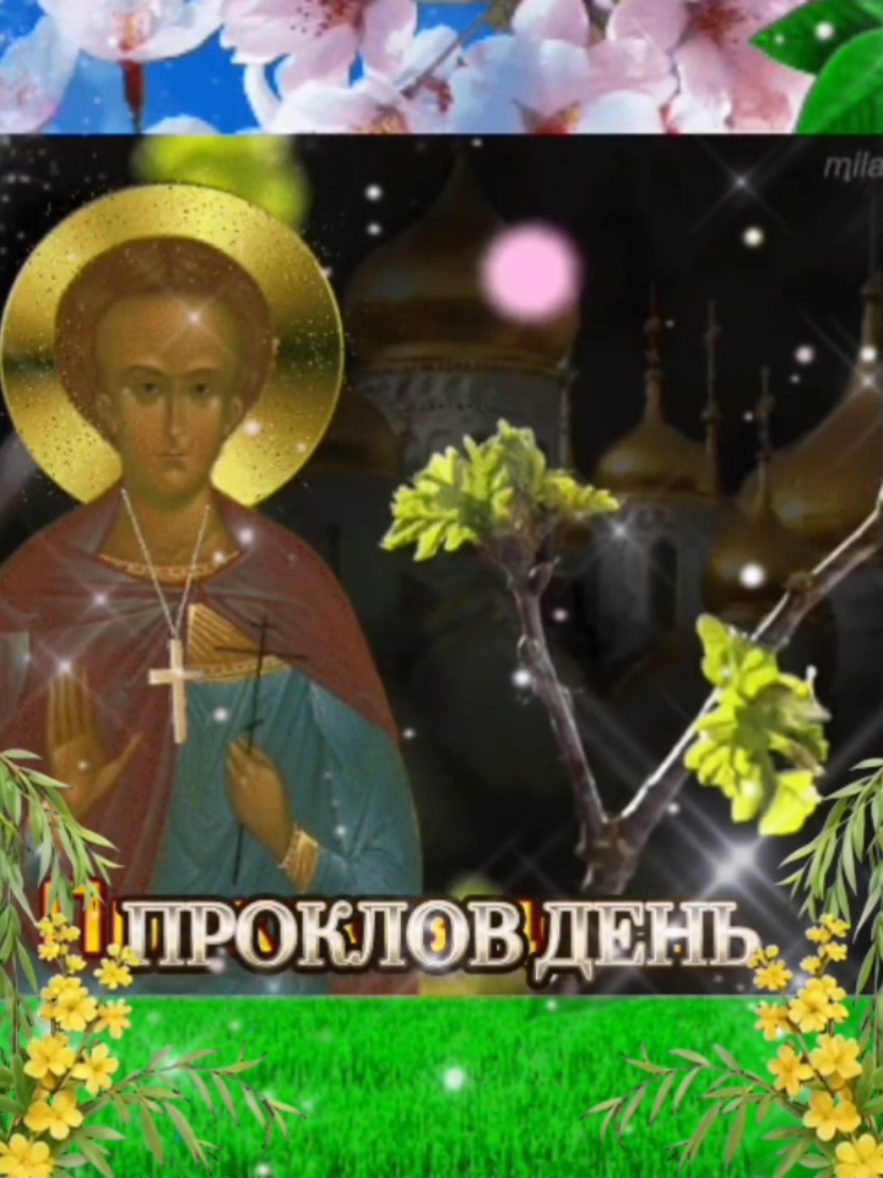 @Светлана(✿◠‿◠)