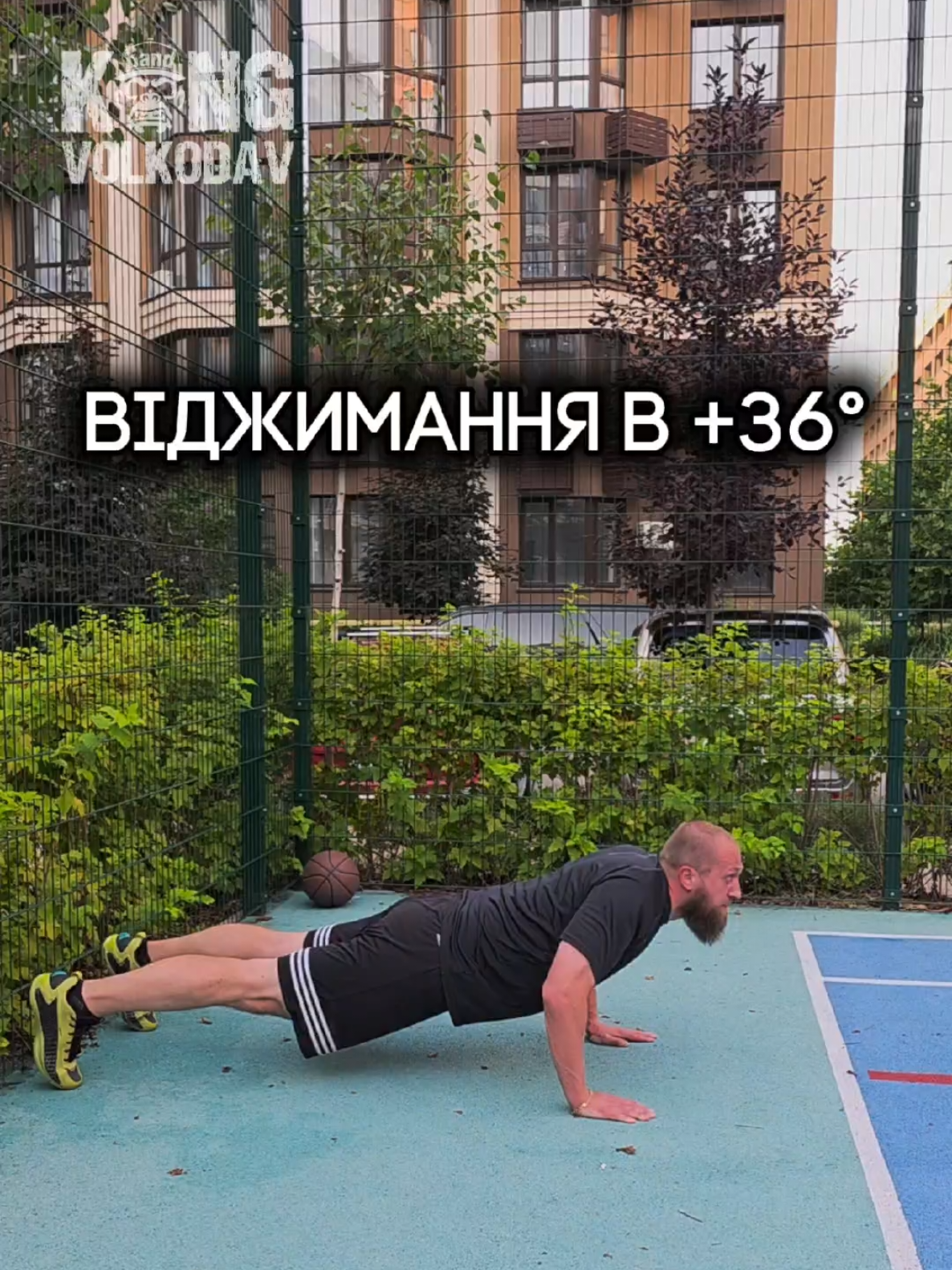 @Александр Волкодав