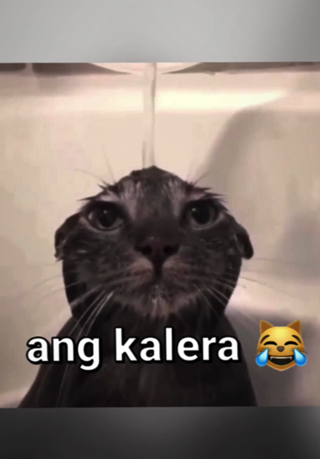 @𝗺𝗮𝗱𝗱𝘁 〆𝙆𝙂𝙉