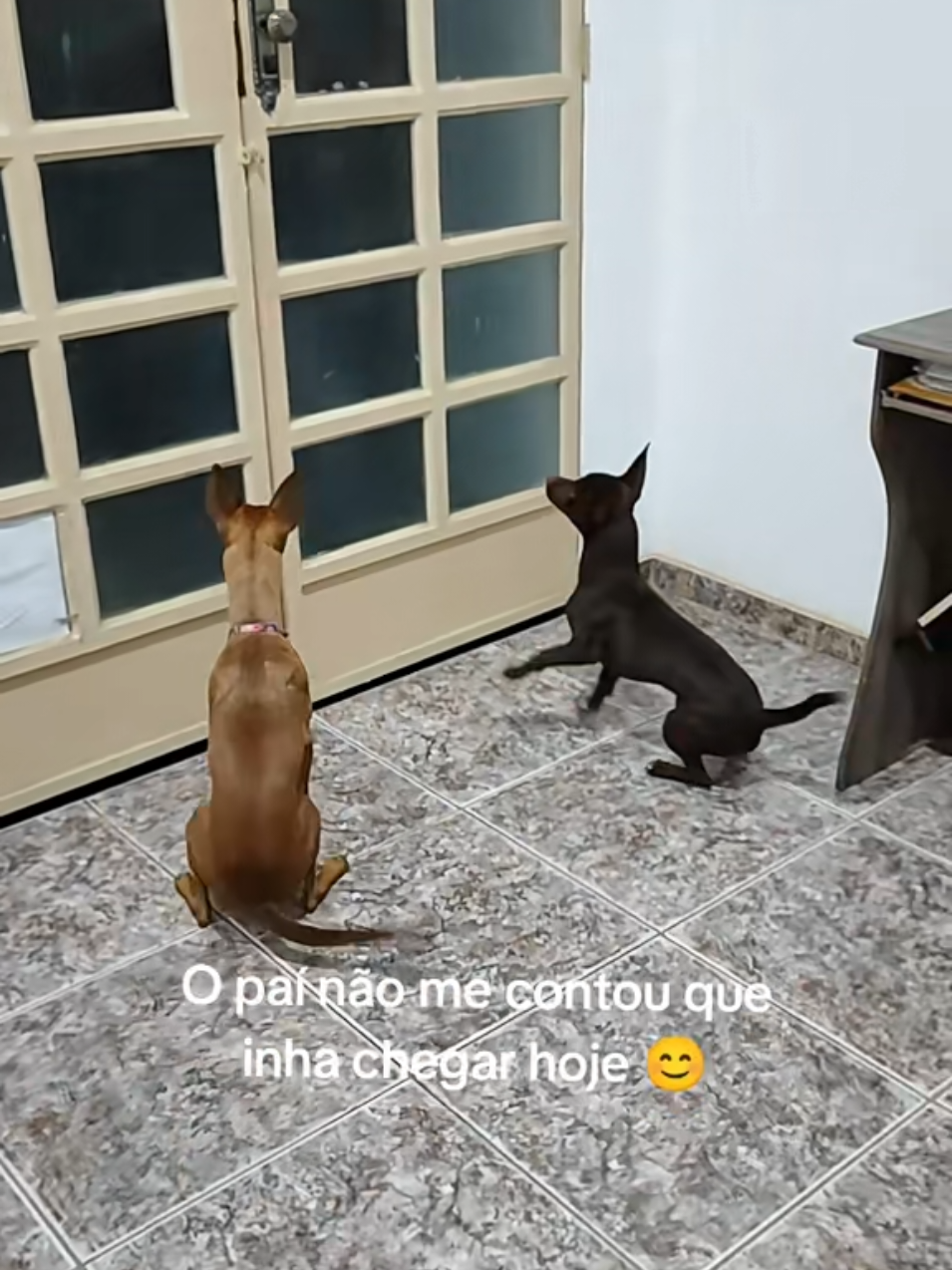 @Belinha e tiamara
