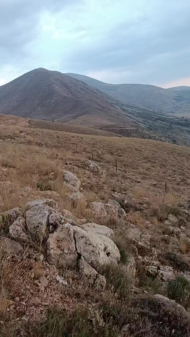 @Nazif Geriş