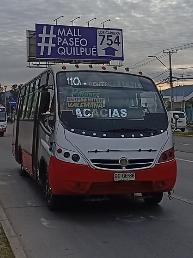 @busologia_wasabi