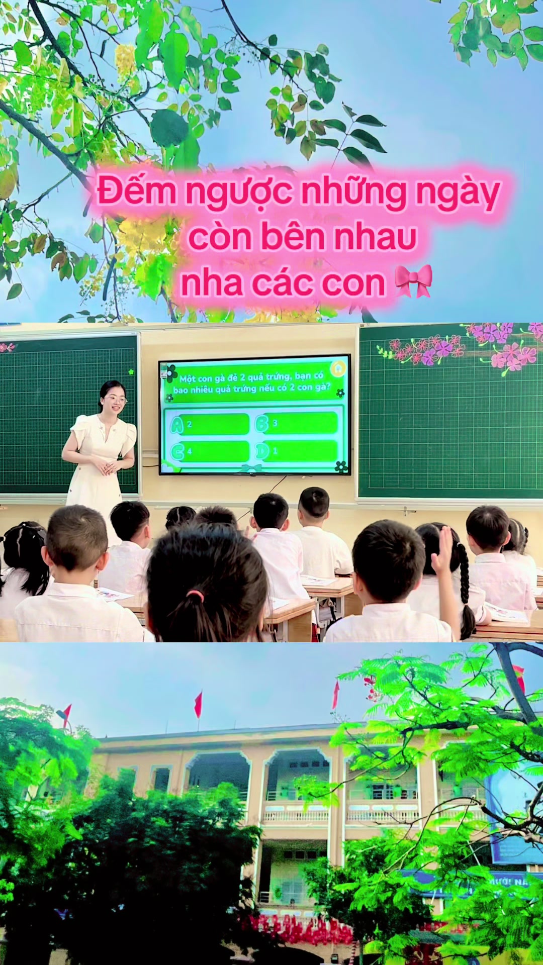 @-Lê Tuyết-