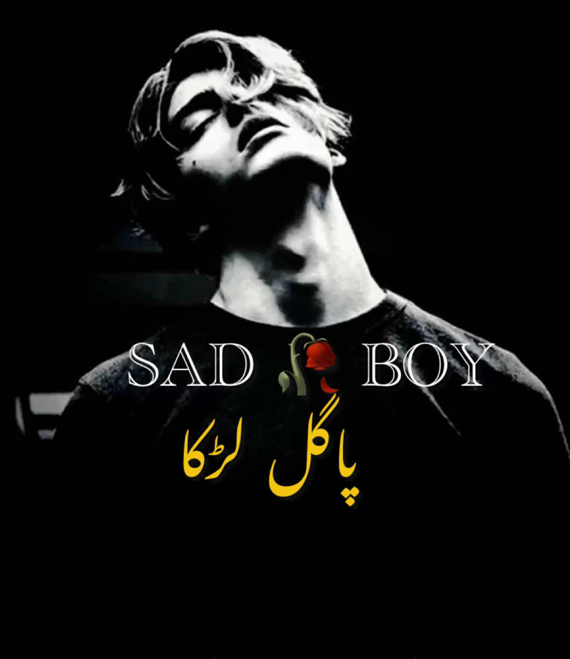 @😢 SAD BOY🎶
