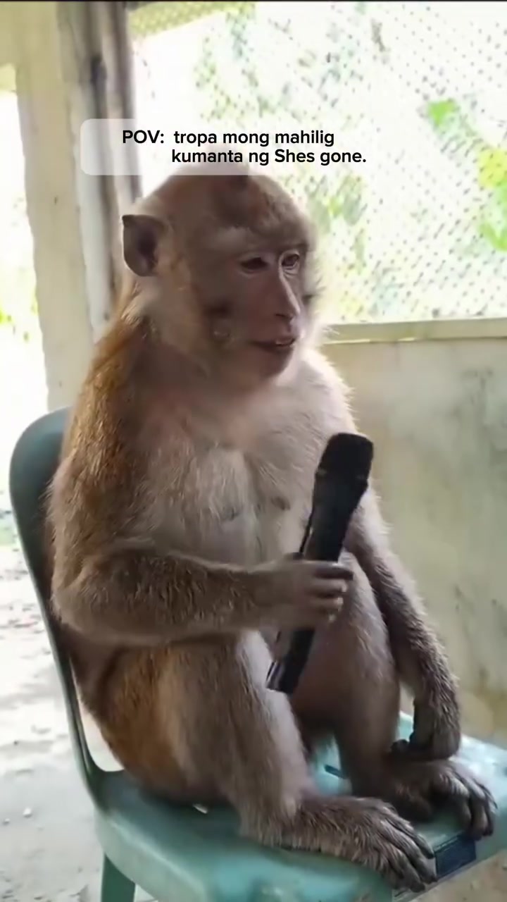 @𝗠𝗥.𝗖𝗢𝗦𝗧𝗔𝗡𝗔𝗦🇵🇭
