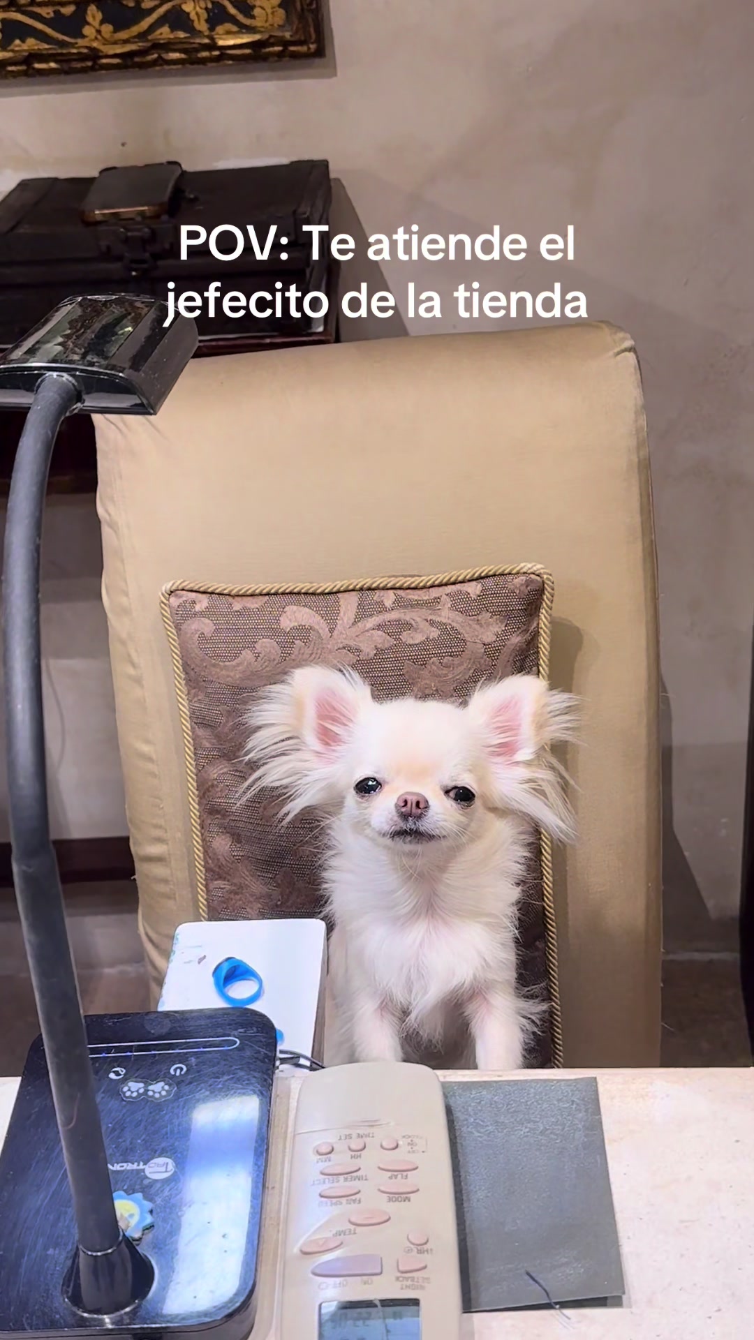 @Panchi Reynoso ⚡️