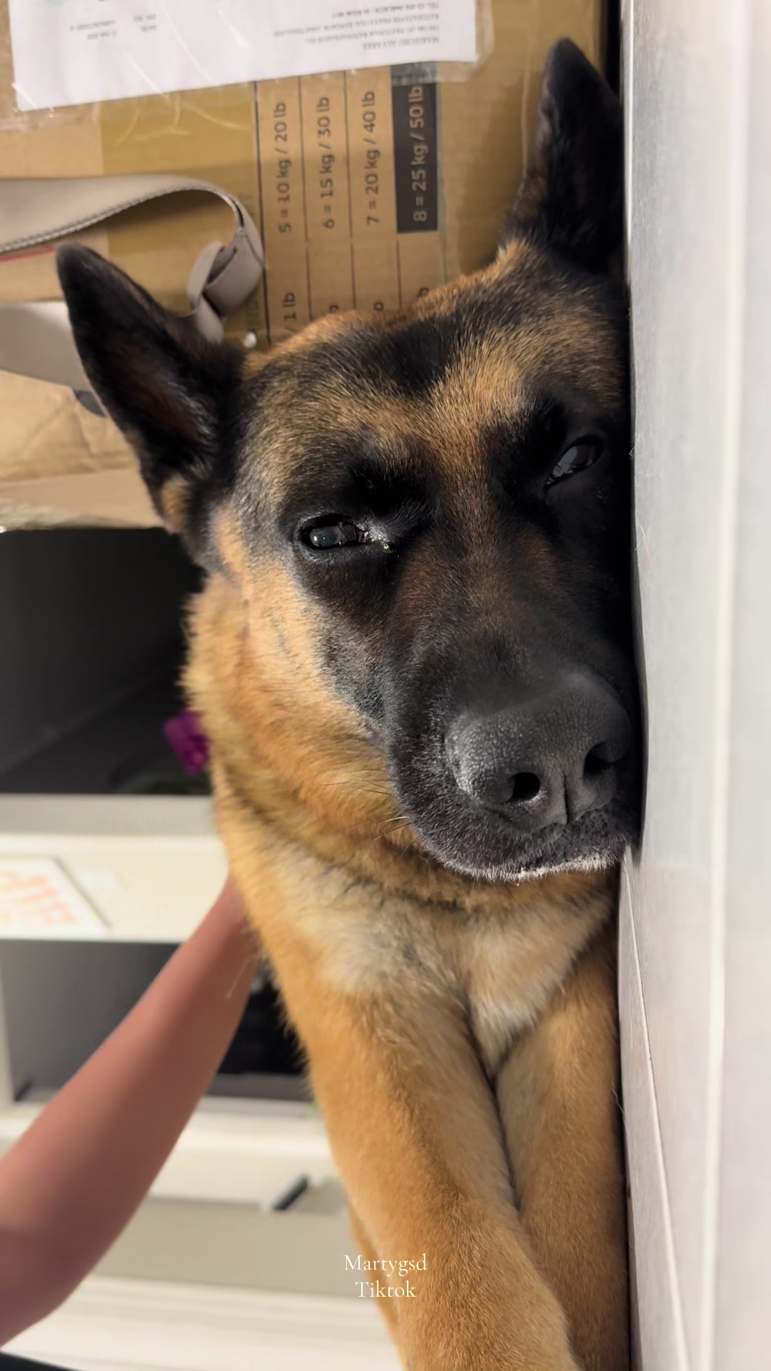 @Martygsd