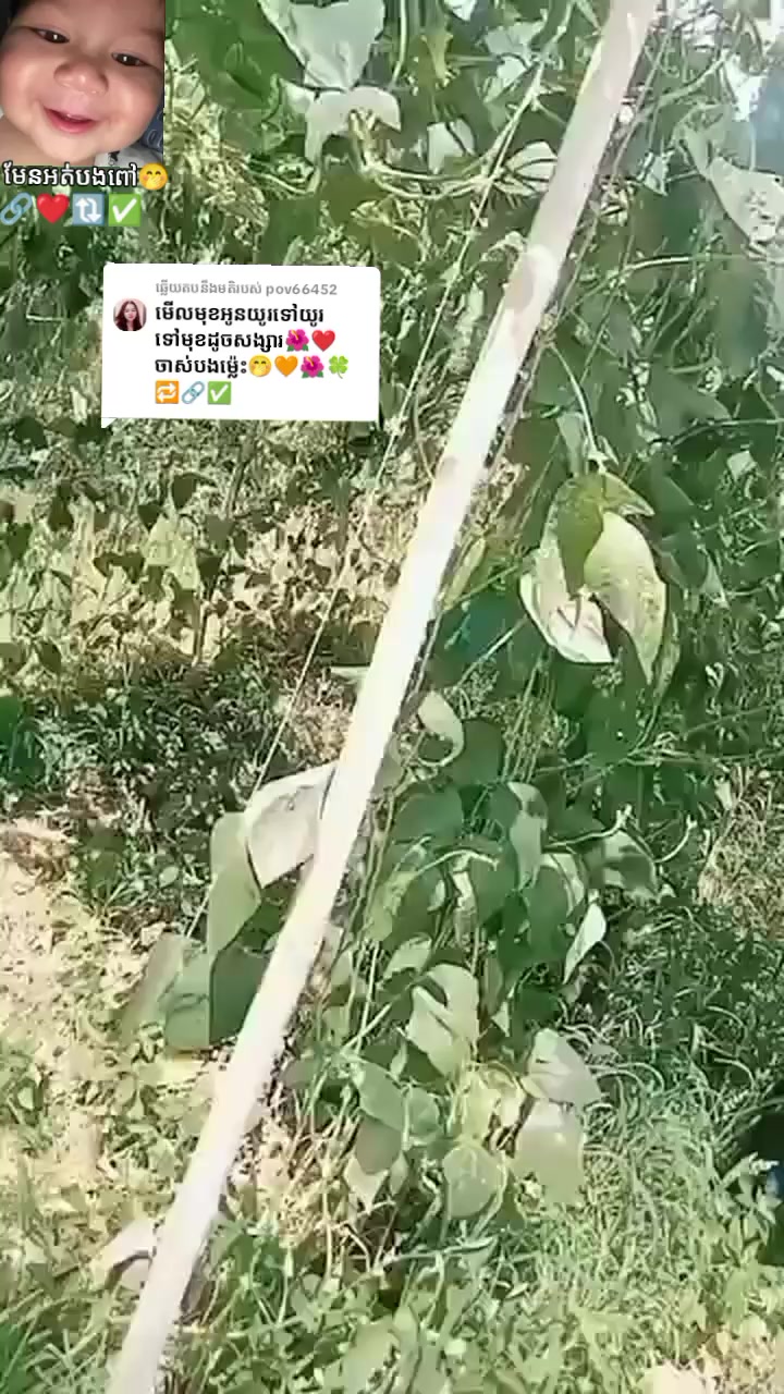@ខ្ញុំស៊ែរឣោយ🔃🔗ដោយក្តីស្រលាញ់