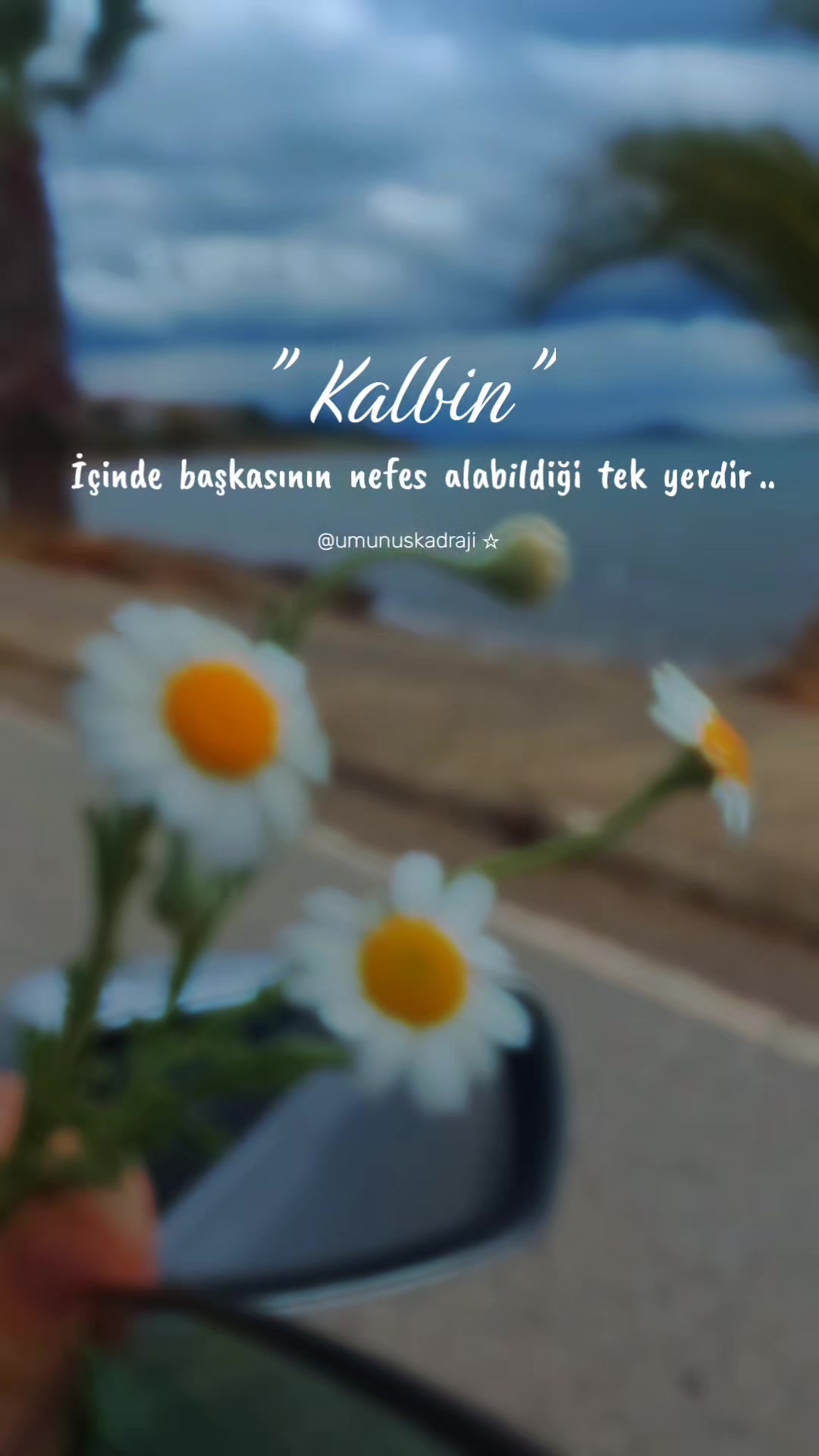 @ümünüş'ün kadrajı