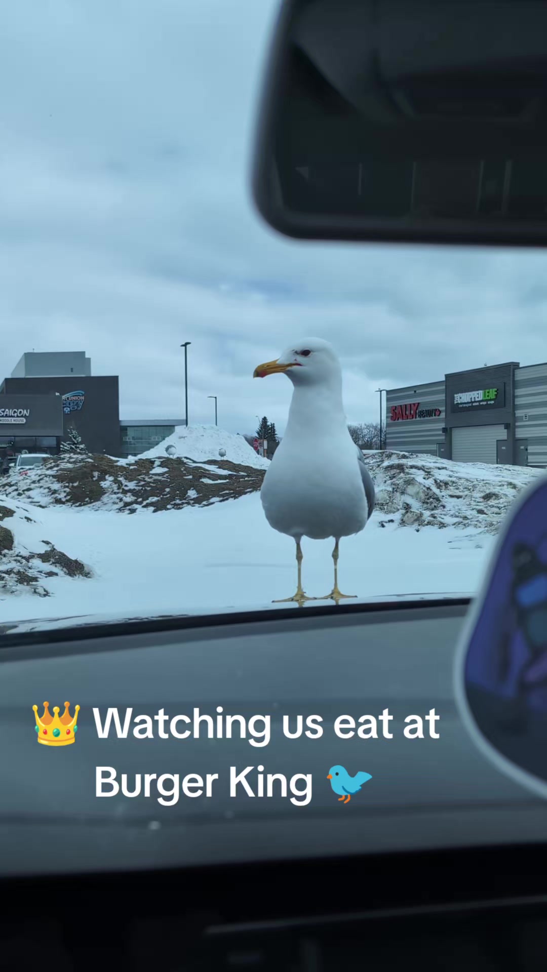 @~°☆* €R@^¢w@!k¢R*☆°~ Canada 🍁