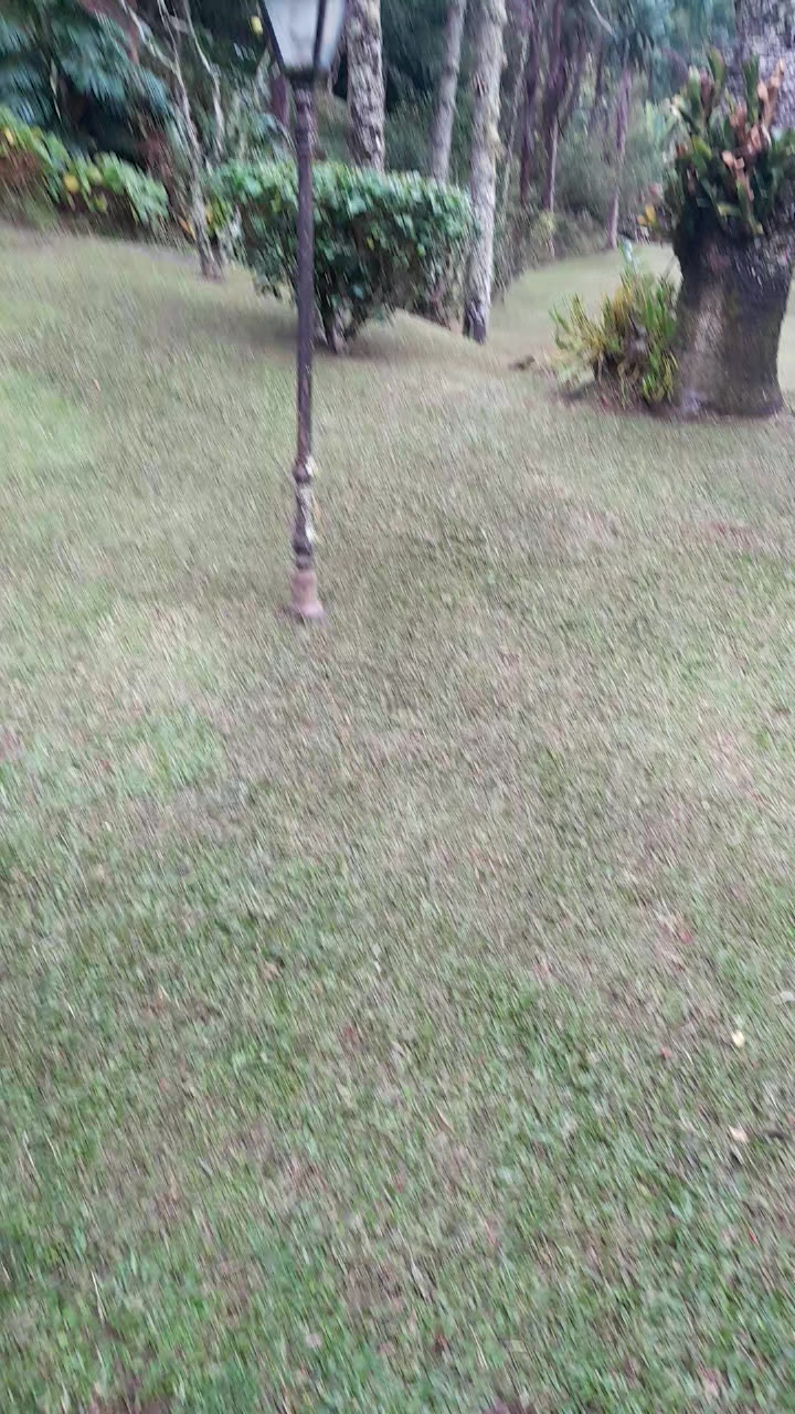 @Reginaldo dos santos pereira