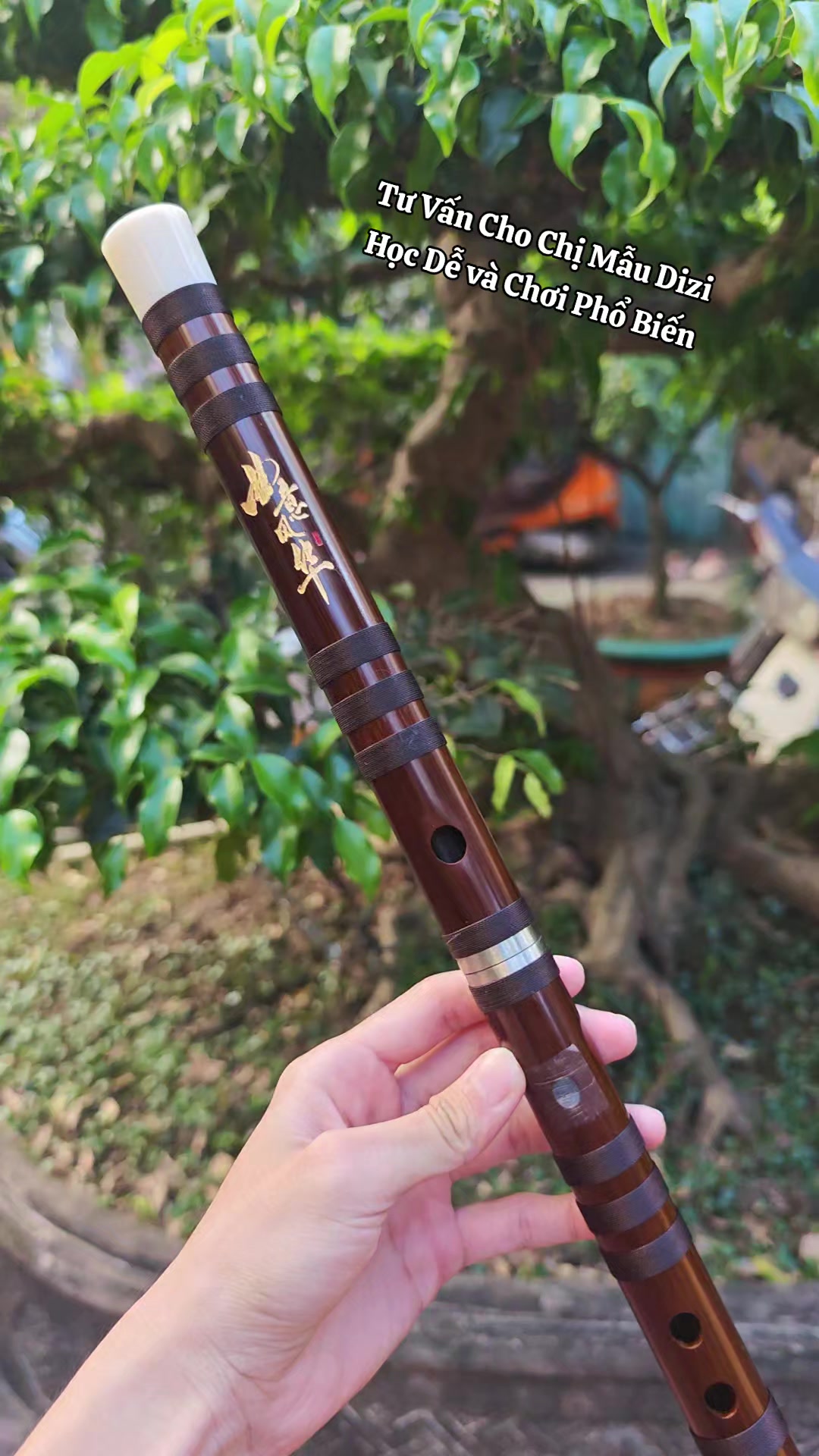 @Thế Anh Dizi