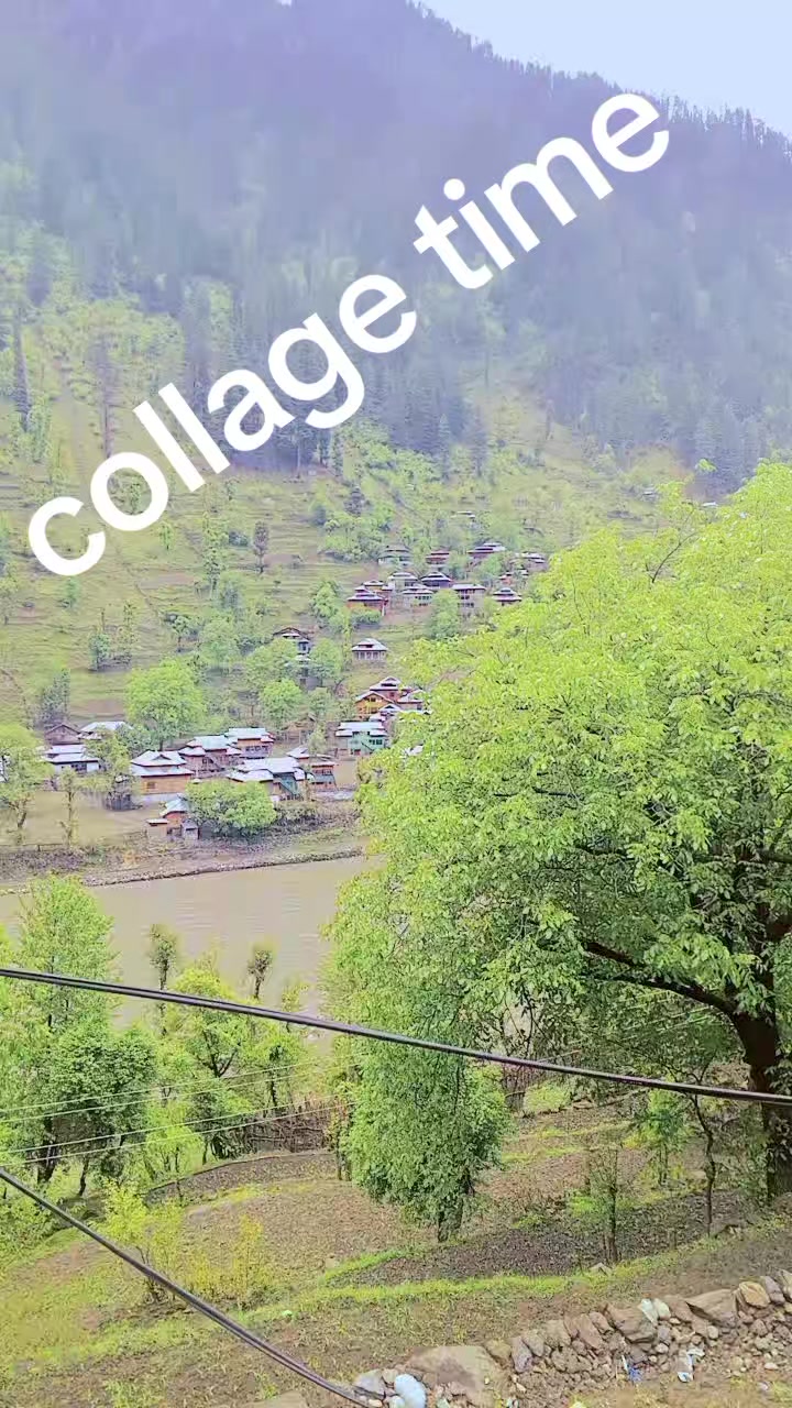 @kashmiri girl