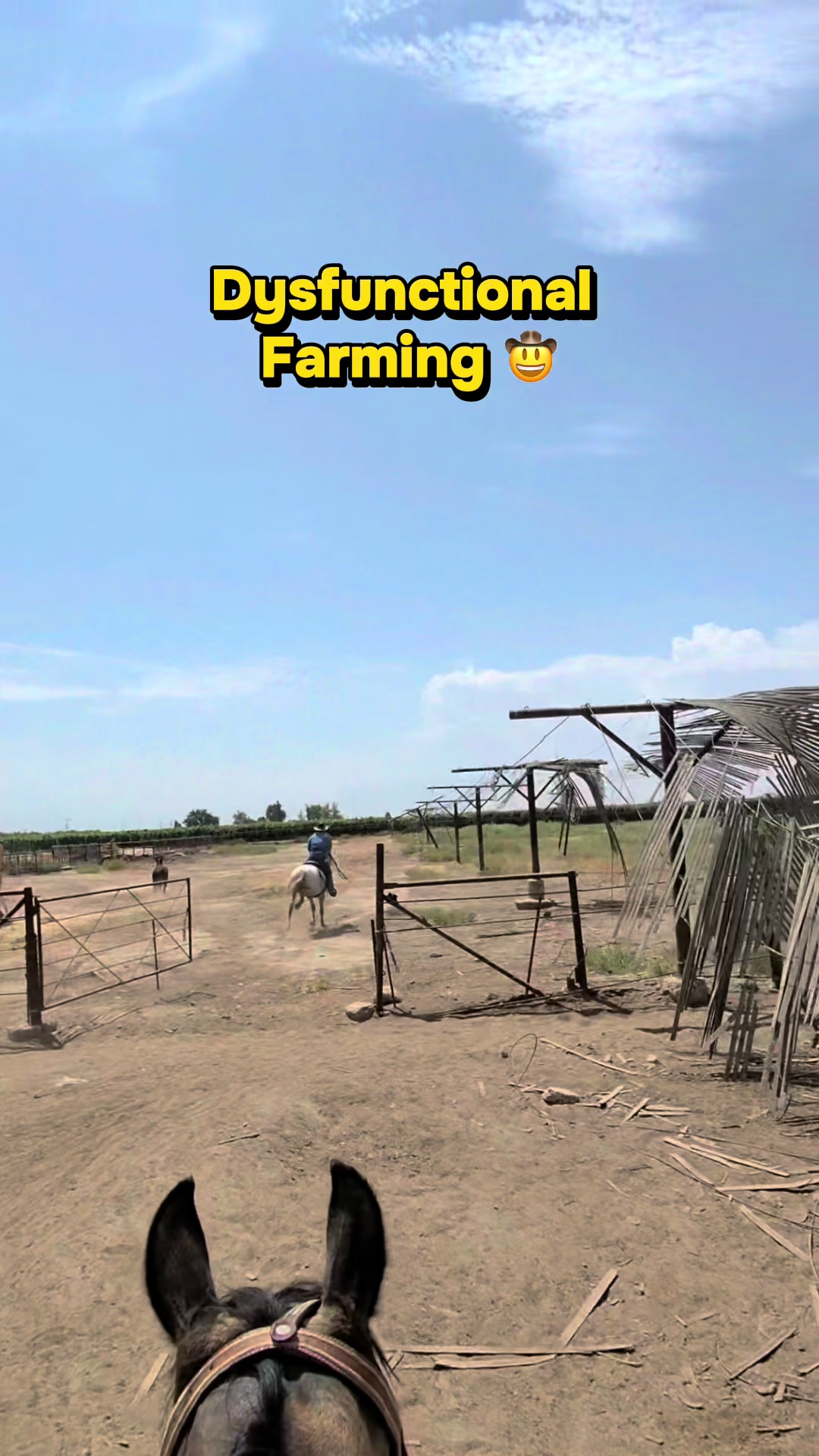 @Skylar Farming