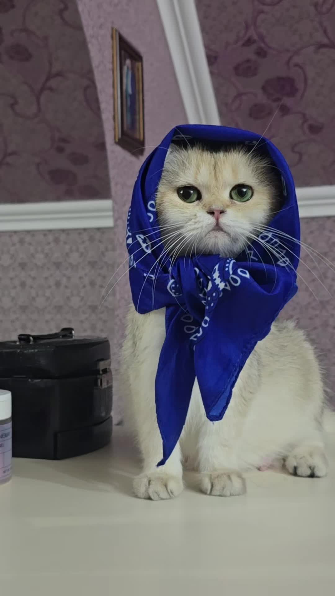 @Zoo_JASMİN🦂🥰