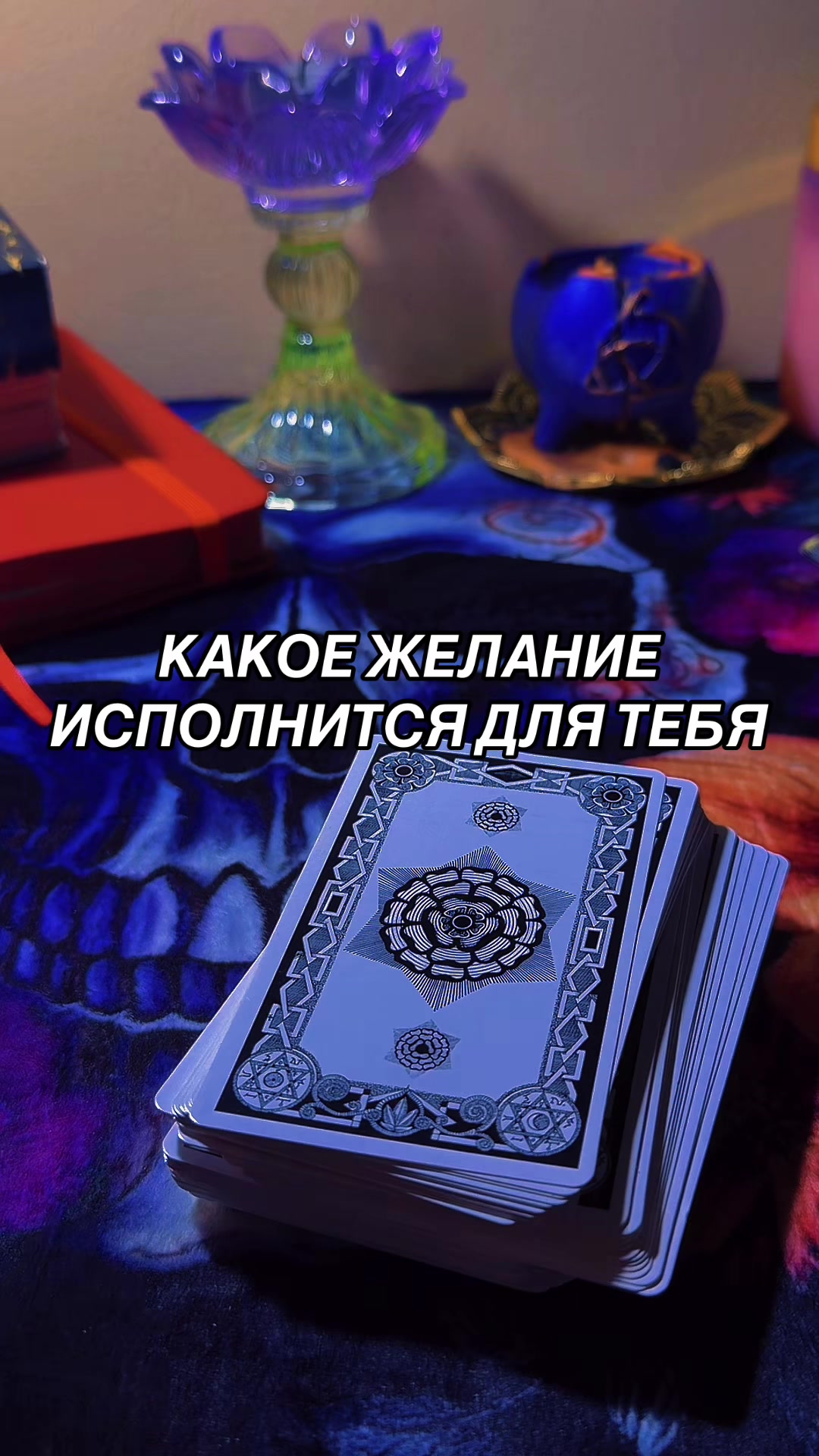 @Ника Козельская