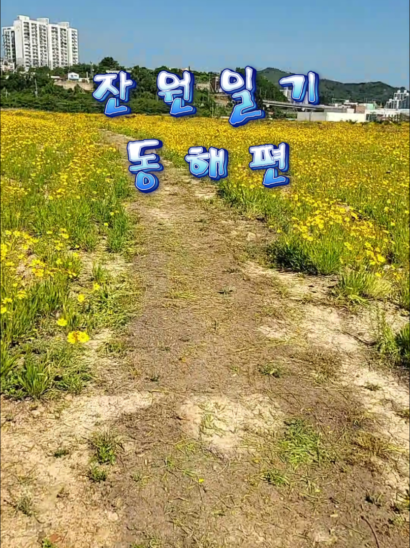 @๐herodonghae๐(ํ์ด๋ก๋ํด)