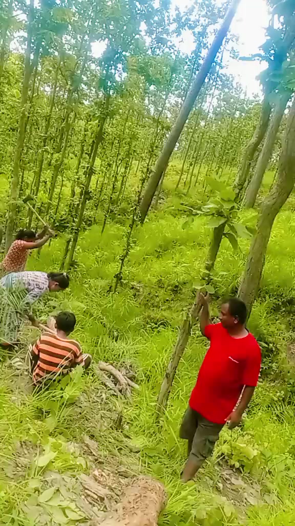 @mamatapariya2