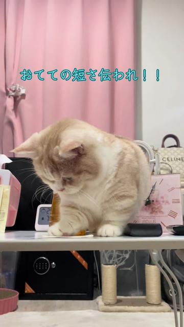 @ใปใฃใ๐๐