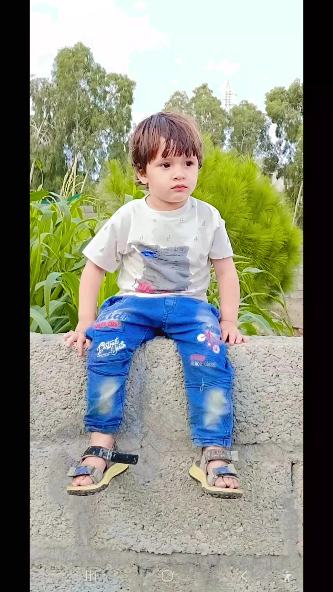 @sanan_dir_100