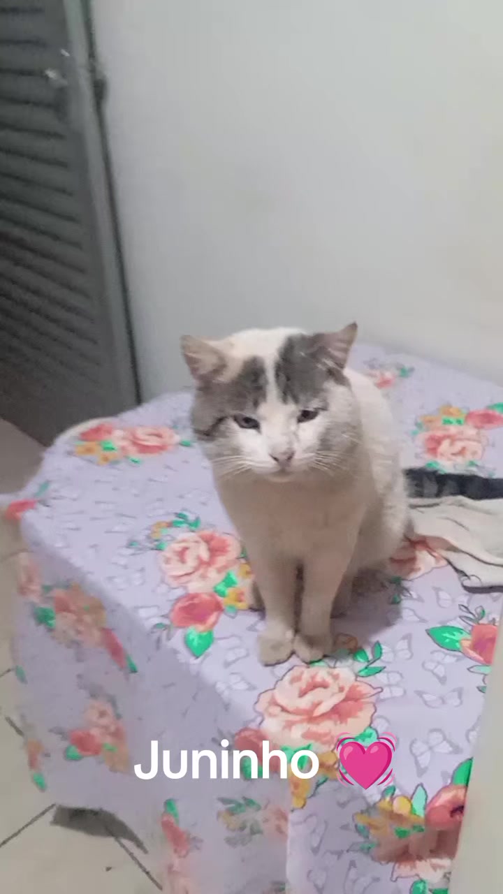 @Cléo faria 💔