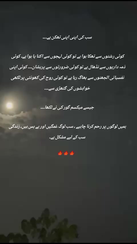 @Zeenou Khan