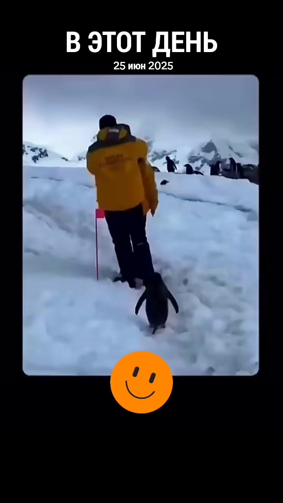 @Rasmus