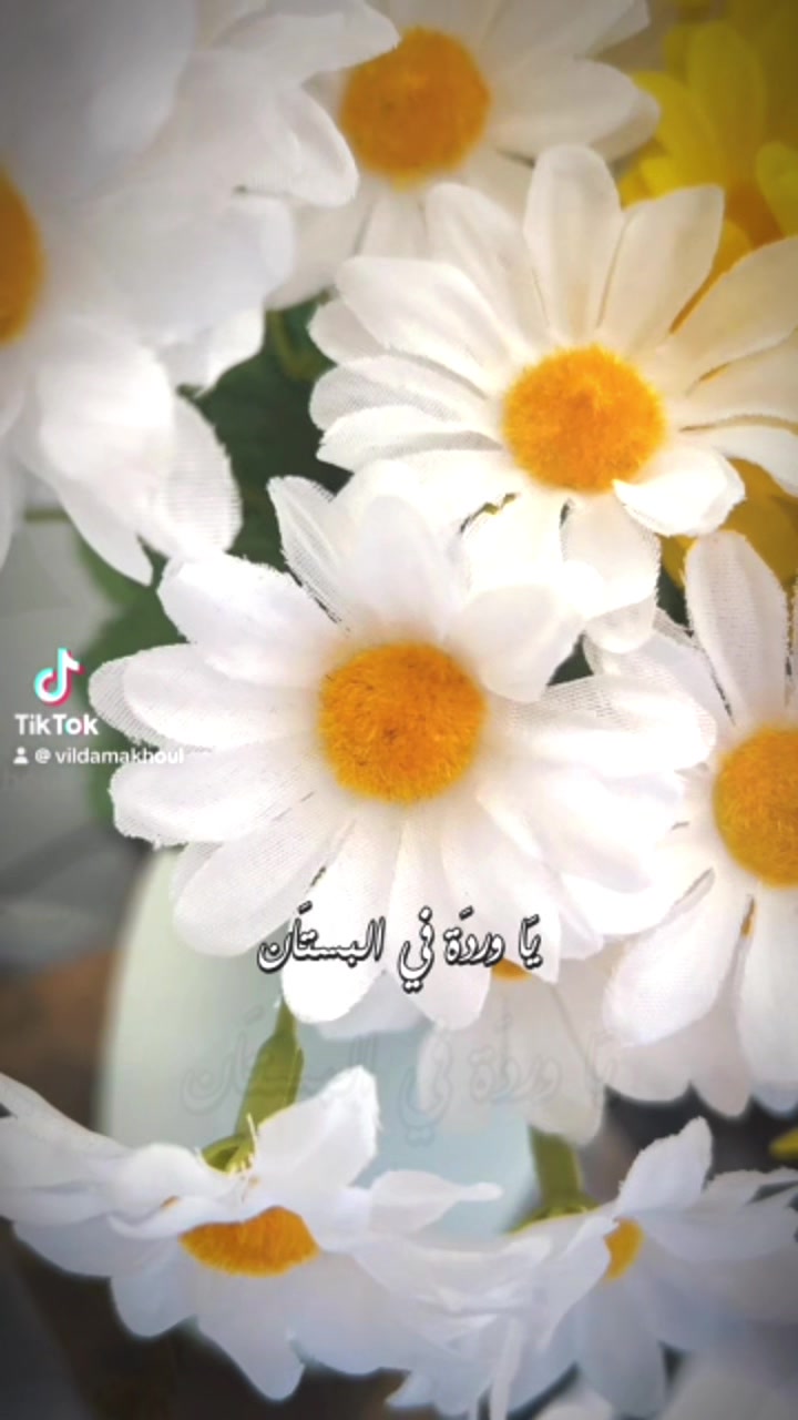 @Vilda makhoul