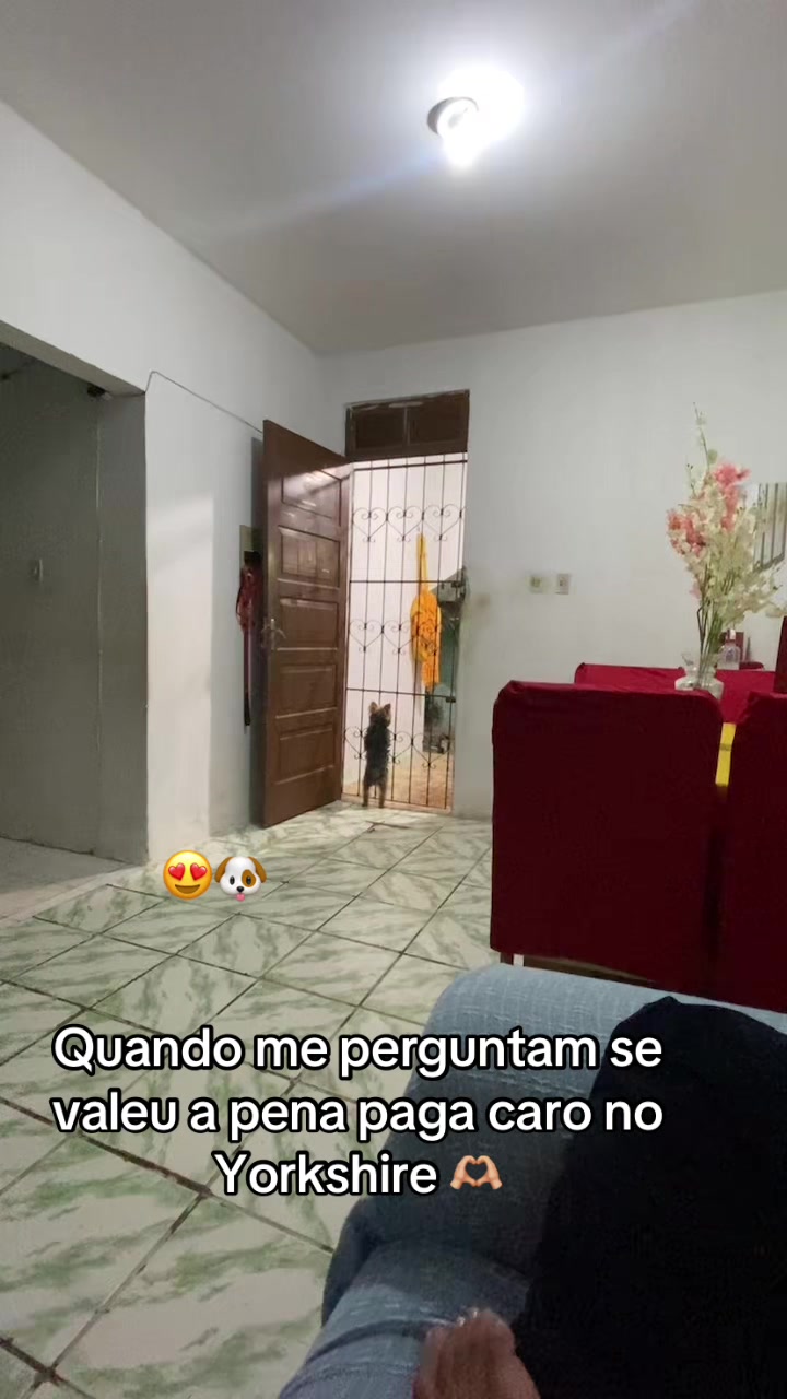 @complicadanivia🐆